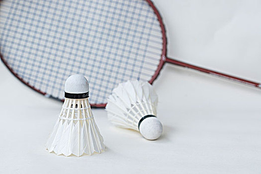 人的数据成 人的数据成