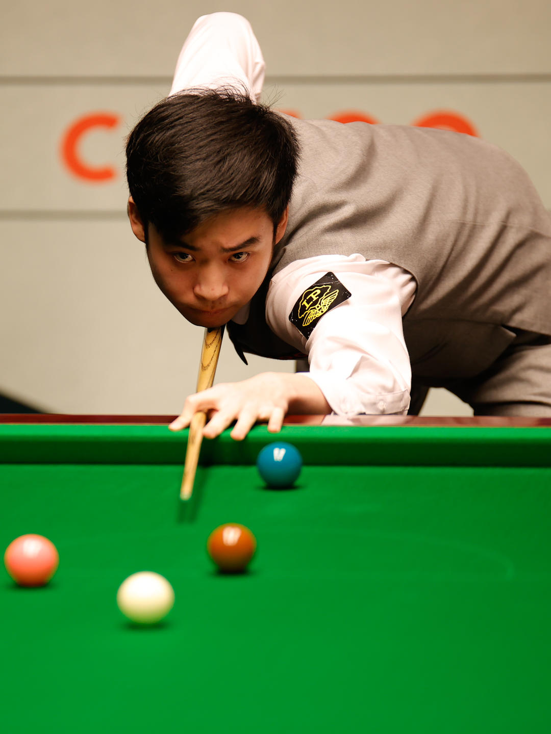 心中植入正 心中植入正